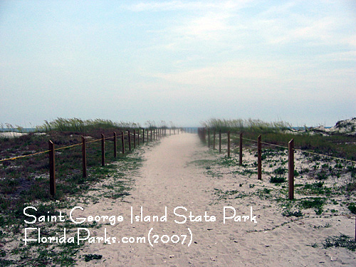 Saint George Island State Park Beach Area Photo