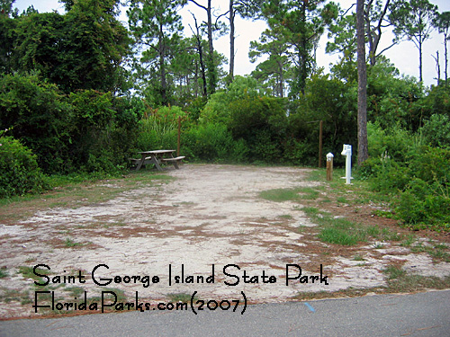 Saint George Island State Park Campground Photo