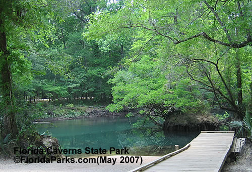 Florida State Parks Caverns Spring  Area Photo