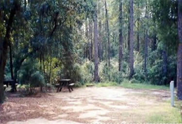 Florida Blackwater River State Park Campsite