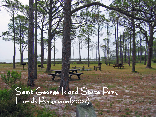 Saint George Island State Park Picnic Area Photo